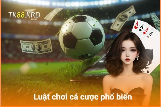 Mẹo Cá Cược Bóng Đá TK88 Bách Chiến Bách Thắng Cho Tân Thủ Luật chơi cá cược thể thao mà bất kì ai cũng nên biết rõ