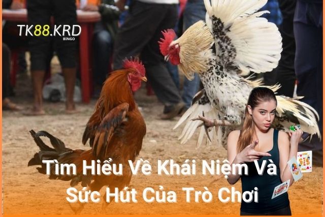 Đá Gà TK88: Trải Nghiệm Đầy Kịch Tính và Cơ Hội Cá Cược Lớn Tìm Hiểu Về Khái Niệm Và Sức Hút Của Trò Chơi