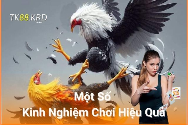 Đá Gà TK88: Trải Nghiệm Đầy Kịch Tính và Cơ Hội Cá Cược Lớn Một Số Kinh Nghiệm Chơi Hiệu Quả