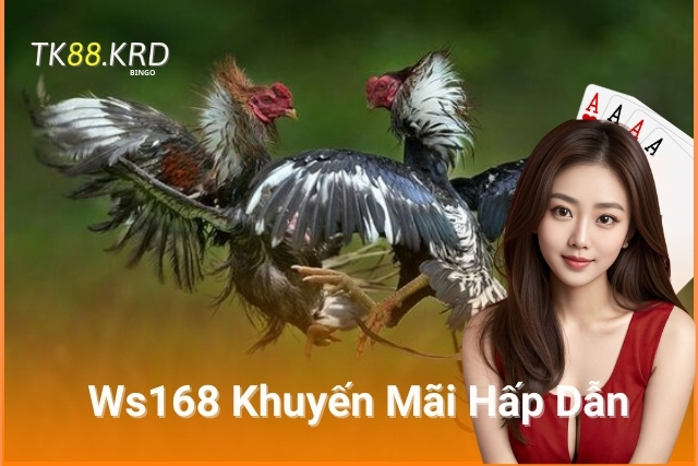 Gà Đá Sảnh Ws168 - Thiên Đường Giải Trí Cho Dân Chơi Đá Gà Ws168 Khuyến Mãi Hấp Dẫn, Thoả mãn đam mê